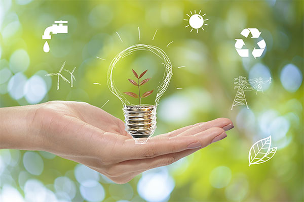 Save Ecology